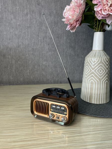 Радиоприёмник GOLON RX-BT628S с аккумулятором Bluetooth, USB, SD и солнечной панелью Тёмный 260823 фото