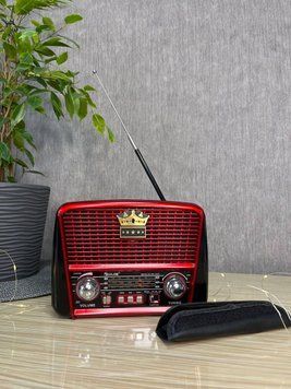 Радіоприймач Golon RX-455-S Solar портативна колонка, портативна акустика на сонячній батареї USB+TF Червоний 260578 фото
