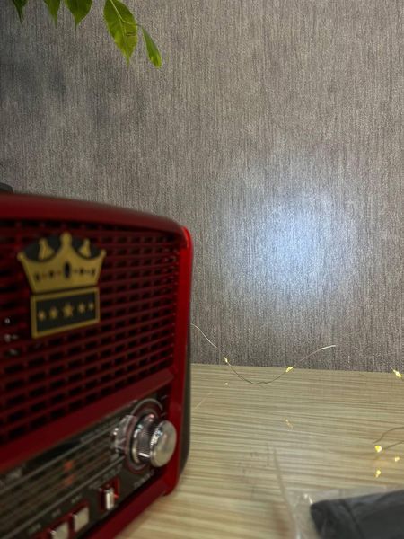 Радиоприемник Golon RX-455-S Solar портативная колонка, портативная акустика на солнечной батарее Красный 260578 фото