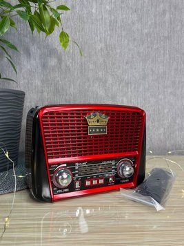 Радіоприймач Golon RX-455-S Solar портативна колонка, портативна акустика на сонячній батареї USB+TF Коричневий 260579 фото