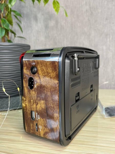 Радіоприймач Golon RX-455-S Solar портативна колонка, портативна акустика на сонячній батареї USB+TF Коричневий 260579 фото