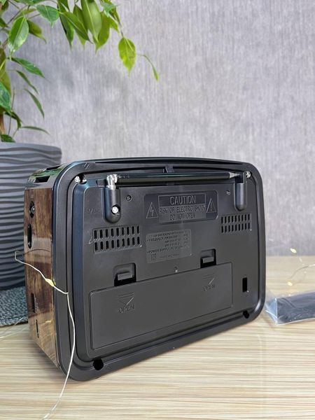 Радіоприймач Golon RX-455-S Solar портативна колонка, портативна акустика на сонячній батареї USB+TF Коричневий 260579 фото