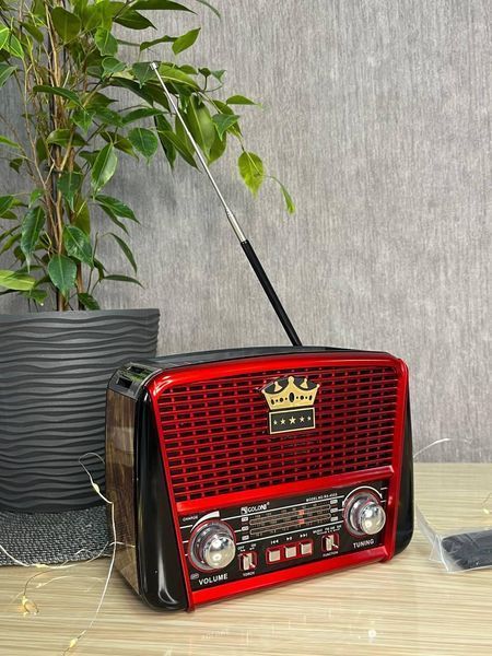 Радіоприймач Golon RX-455-S Solar портативна колонка, портативна акустика на сонячній батареї USB+TF Коричневий 260579 фото
