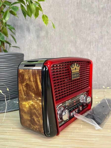 Радіоприймач Golon RX-455-S Solar портативна колонка, портативна акустика на сонячній батареї USB+TF Коричневий 260579 фото